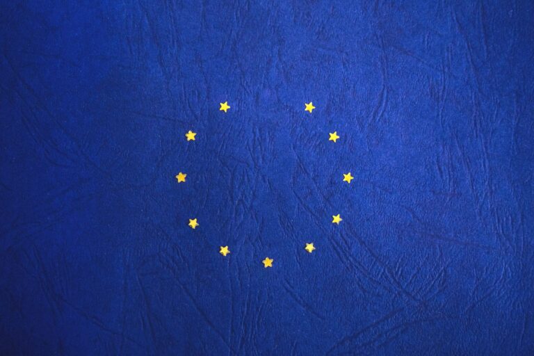 Europäische Kommission verschärft Sanktionen gegen Arbeitgeber von Personen ohne Papiere in den Mitgliedstaaten