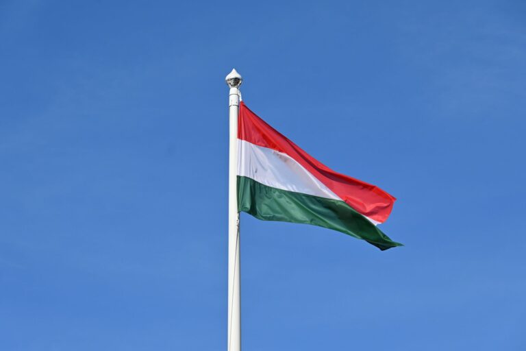 Nach Orban: Wie Magyars Ungarn die Landkarte der europäischen Rechten neu zeichnet